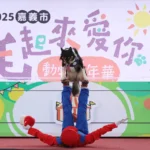 「毛起來愛你」動物嘉年華　嘉義市打造毛孩專屬幸福天地