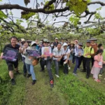 跟著葡萄香遊台中-　「taichung醉美」帶你品味外埔農村酒莊