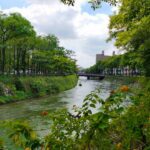 中秋連假遊台中　綠川興大段邀您共賞月兔、漫步森林水岸