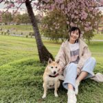 新北20條寵物旅遊路線票選開跑　有機會和毛寶貝免費一日遊