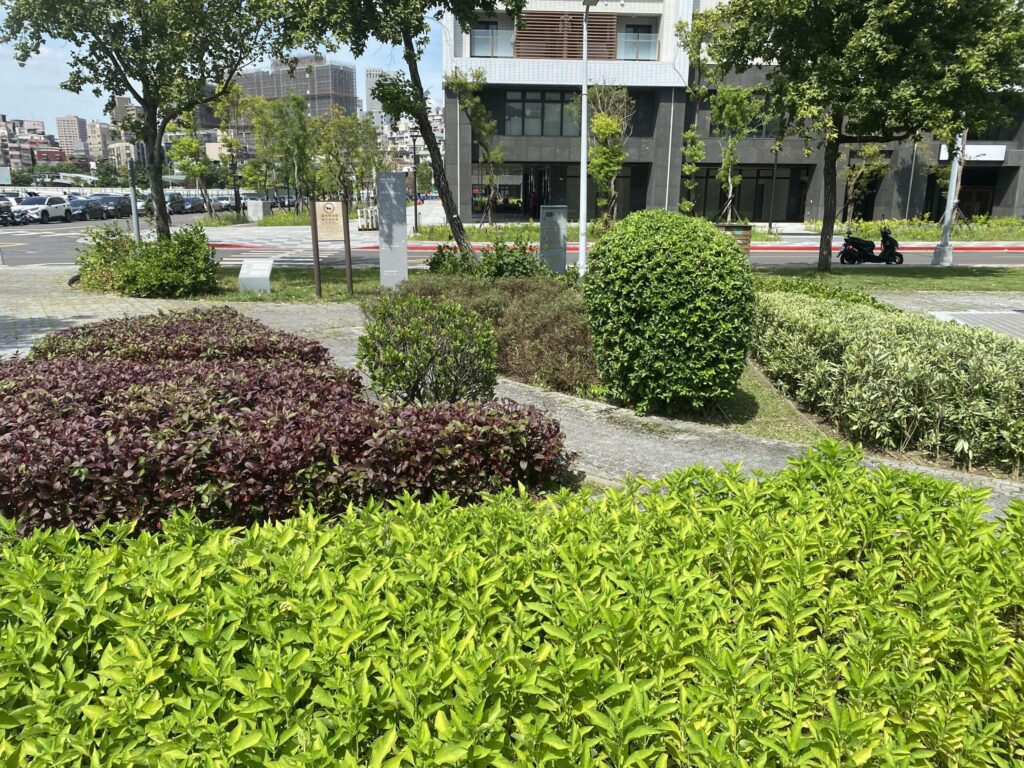 暗香湧動！北市景勤一號公園香草園　打造都市中的療癒綠洲