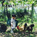 秋遊台中後花園　農業局「綠生活巡禮」10/9登場