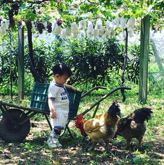 秋遊台中後花園　農業局「綠生活巡禮」10/9登場