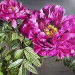 如松講堂最後一堂古雅仁水彩花卉優雅瞬間