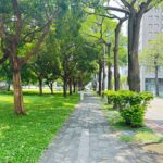 走起來更安全！　西屯「夏綠地公園」人行道優化登場-年底前完工迎綠意新步道