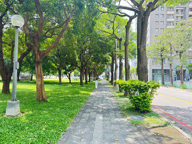 走起來更安全！　西屯「夏綠地公園」人行道優化登場-年底前完工迎綠意新步道