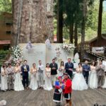 最「高」規格的浪漫！阿里山神木婚禮登場　15對新人受證於千年巨木