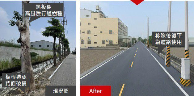 多年地方困擾終解決! 外埔區二崁路黑板樹移植完成-通行安全升級