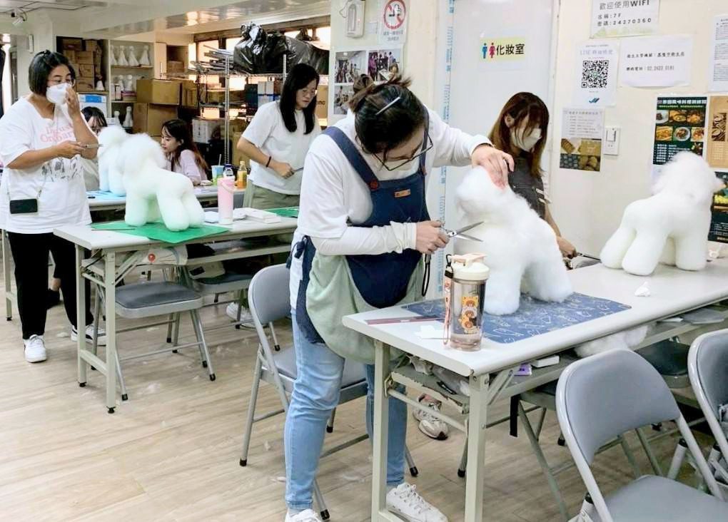 搶攻寵物產業商機！基隆推寵物美容職能養成班　助失業及弱勢培訓專業技能