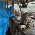 嘉義市啟動緊急防疫作為　全力守護市民餐桌安全