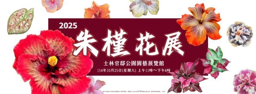 只開一天!士林官邸「朱槿花展」綻放千朵美景 錯過再等一年