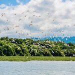 相約峨眉湖畔共品東方美人茶　-10/27開放報名秋日茶席