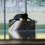 台中綠美圖試營運倒數！　10/28起多場跨域展演邀您一起體驗美術館