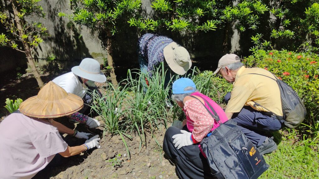 菜蔬變身上板植物　田園城市推出美化生活大招