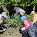 菜蔬變身上板植物　田園城市推出美化生活大招
