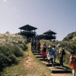 秋遊草嶺最方便　芒花專車、超值套票開賣