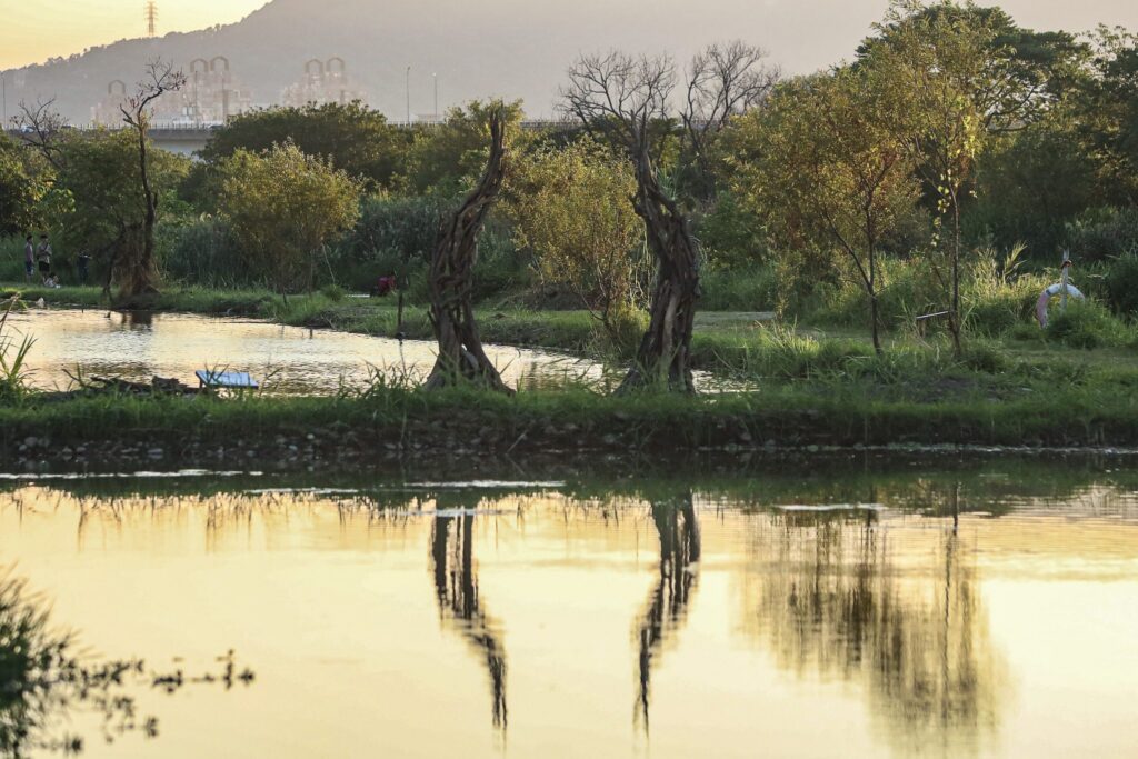 秋遊濕地最美打卡點！新北濕地藝術季引眾走入自然美術館