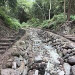 硫磺溫泉溪谷相伴　陽明山秘境「紫明溪步道」-療癒木屑小徑