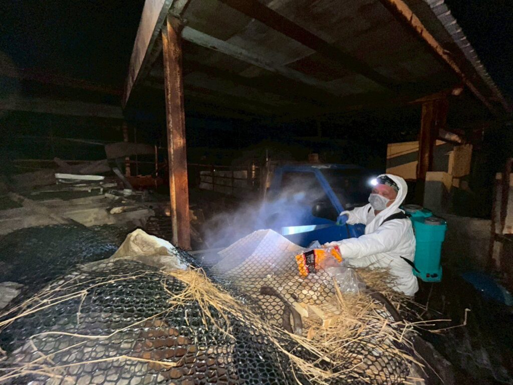 非洲豬瘟案場髒亂超預期！　市府與十軍團聯手徹夜啟動消毒前清理-第二輪人力接手