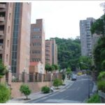 恆安董事長兆如安養護中心19棵櫻花樹羅生門　地院判無罪高院駁回檢上訴