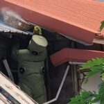 防範秋「蜂」危機！關山警分局即時除蜂-提醒民眾防蜂重於除蜂