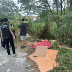 棧板亂丟貓羅溪河岸！彰化警循線揪出自小貨車　業者坦承:因貪一時之便