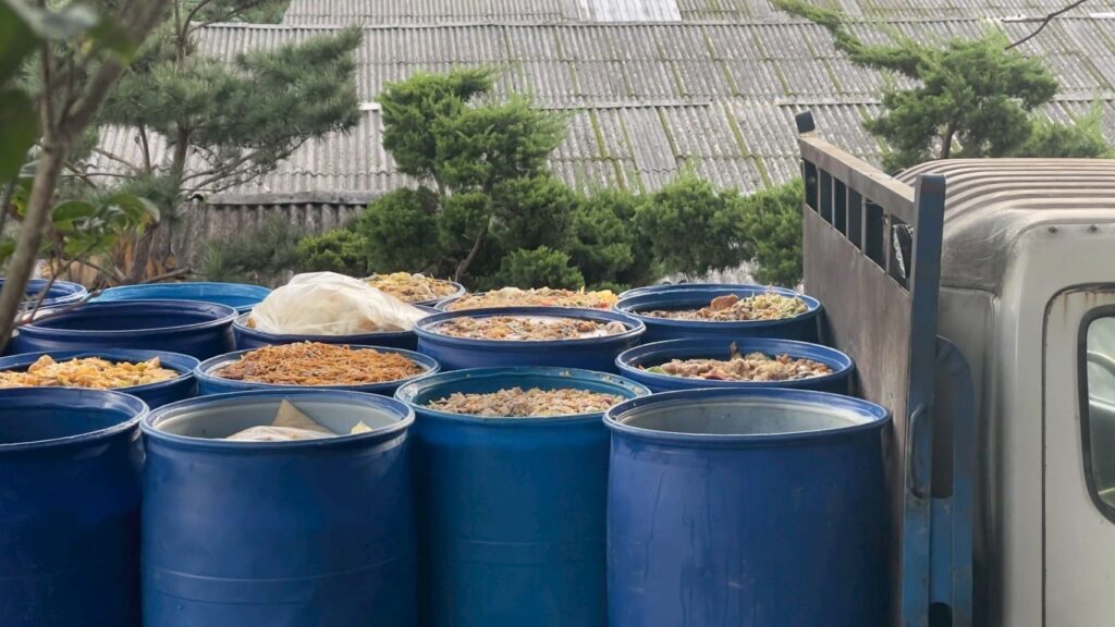 新北再查獲違規餵食廚餘養豬場　重罰206萬並禁上市及取消補助