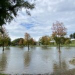 迎「立冬」遊山城！后里環保公園波斯菊花海、落羽松林、「孩籽」遊戲場一次滿足
