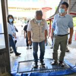 豬隻禁運禁宰解封　宜蘭肉品市場7日拍賣總頭數559頭