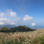 陽明山芒草季登場　沿著「臺北大縱走」漫遊金色山林