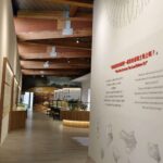 湖山水庫人文遺址館搶先看！-一起守護-3,000-年雲林繩紋與營埔文化記憶