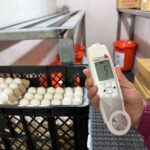 基隆學校午餐雞蛋溯源　查皆未使用農藥超標產品