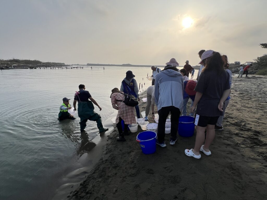 嘉義慈悲協會舉辦「琉璃大放流」　十萬蟹苗重返大海　讓生命再度呼吸