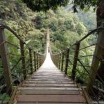 休園復建中的竹山天梯　將於明年3月再度開放