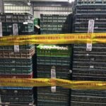 彰化蛋雞場再檢出芬普尼　縣府封場禁運全數禽蛋