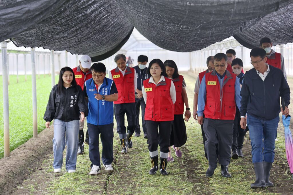 鳳凰颱風來襲　張麗善縣長關心稻米及蔬菜採收情形