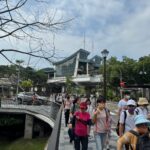 內湖117號綠地轉型生態防洪街景　大湖山莊街再添新亮點