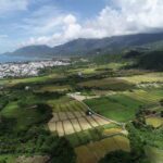 臺東稻作進入收割期　環保局籲農民勿焚燒稻草守護空氣品質