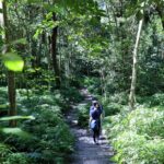 雪山坑登山步道完工啟用　打造原民文化與自然生態共融新亮點