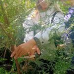 植林減碳　北市撫育森林增進碳吸存