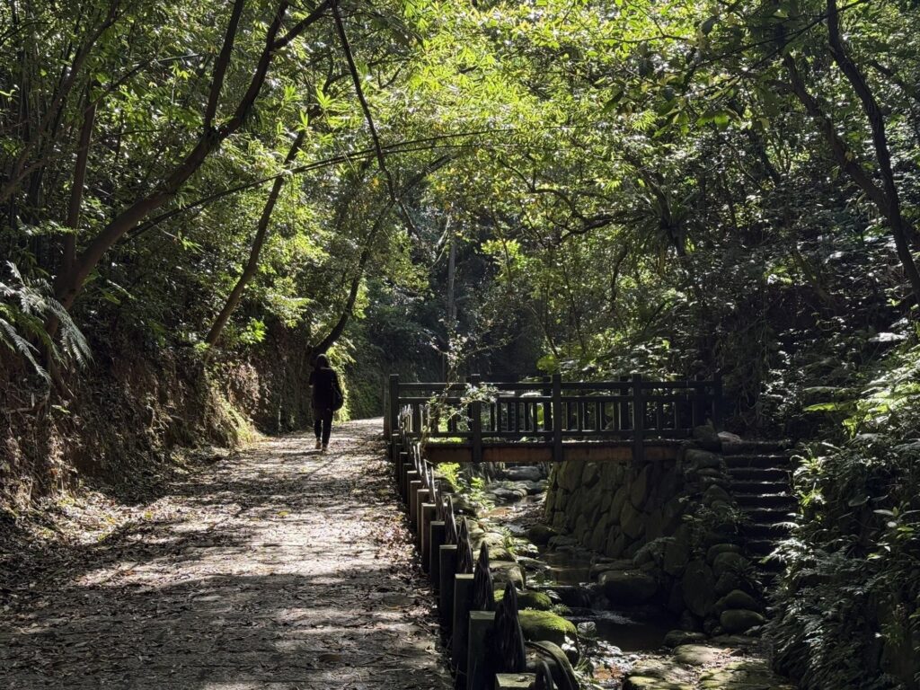 秋日雅行　北市首選虎山溪　享受深層慢活時光