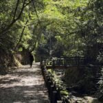 秋日雅行　北市首選虎山溪　享受深層慢活時光