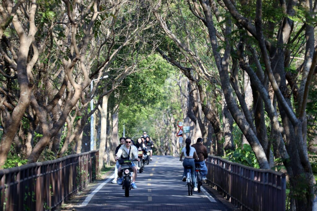 市府改善「東豐自行車綠廊」彎道安全　打造更舒適的騎乘環境