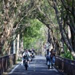 市府改善「東豐自行車綠廊」彎道安全　打造更舒適的騎乘環境