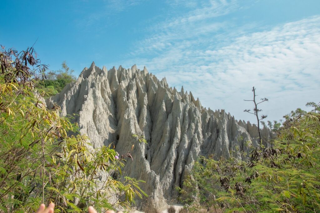 高雄海線探險趣　-11/23彌陀公園登場　闖關遊戲玩翻海線
