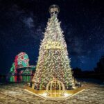 啦啦隊女神安芝儇、南珉貞將現身《下酒祭》展廚藝-《高流聖誕趴》17米聖誕樹「金勾tree」12月5日起閃耀港灣