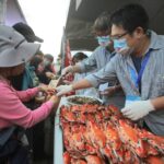 淡水漁人碼頭「2025螃蟹肥了」22日登場 一起品蟹趣玩 享受漁港秋日風味