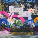 2025埔里花卉展暨南投花卉嘉年華 11/22繽紛登場!