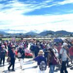 花海花毯節人氣旺、在地特產500條杏鮑菇香腸免費送　橘色波斯菊、紅色百日草、本週大爆發