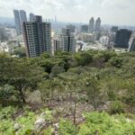 一起種下未來　大地處號召企業打造城市綠色碳倉